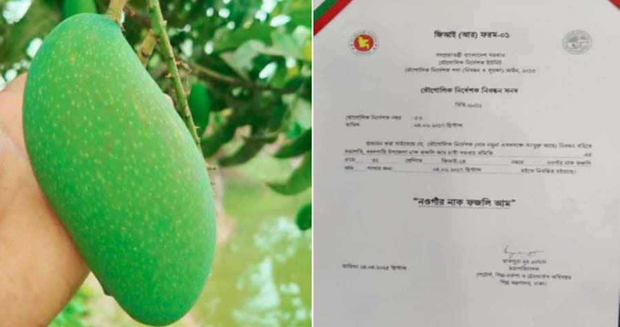 জিআই পণ্যের নিবন্ধন পেলো নওগাঁর “নাক ফজলি”