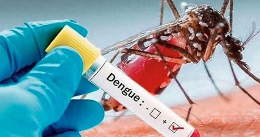 ডেঙ্গু আক্রান্ত হয়ে হাসপাতালে আরো ১৩৮ জন