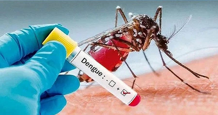 ডেঙ্গুতে আরো একজনের মৃত্যু, হাসপাতালে ভর্তি ৬১৯